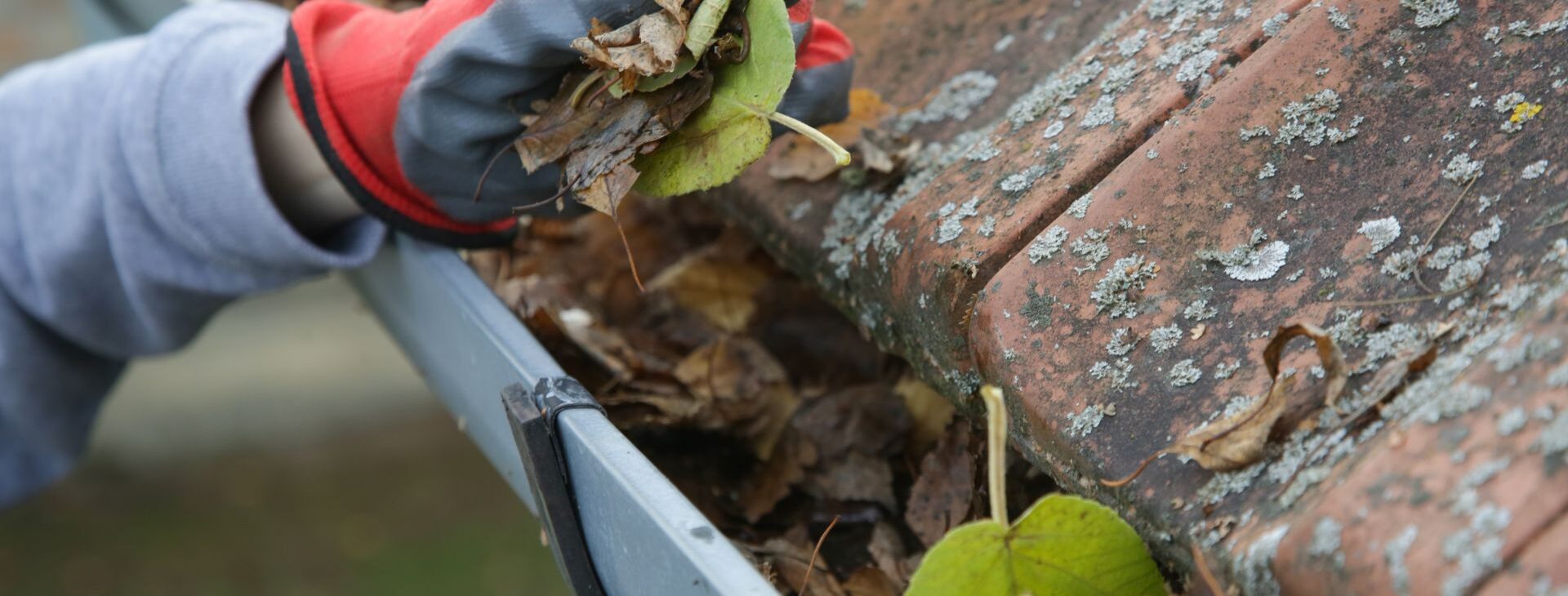 Home Maintenance & 
Handyperson Services