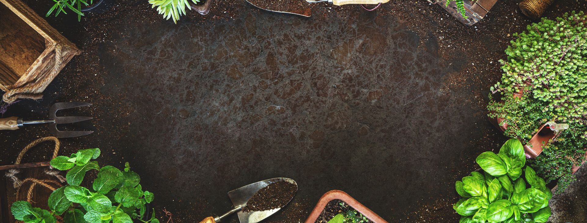 Mansfield & Ashfield
Garden & Maintenance Services